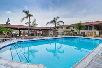 Sparkling swimming pool